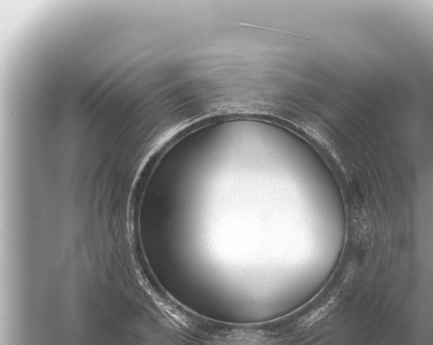 X0000059040981200510211929