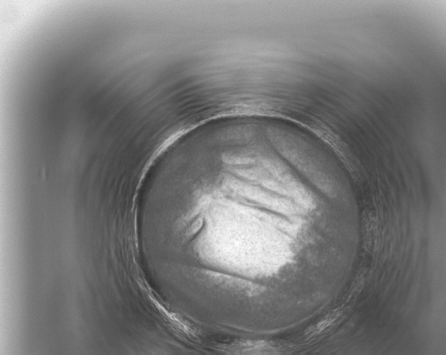 X0000059040982200510211929