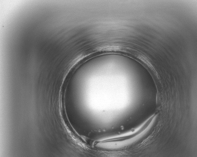 X0000059040984200510211929