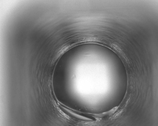 X0000059040985200510211929