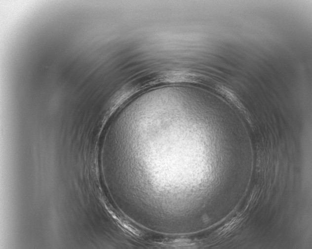 X0000059040986200510211929