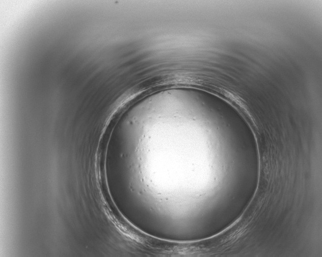 X0000059040987200510211929