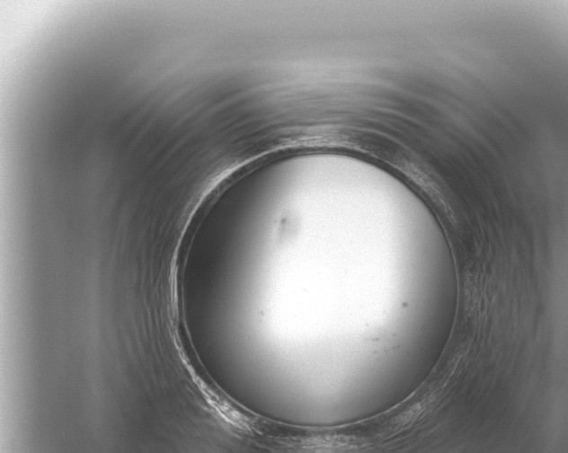 X0000059040988200510211929