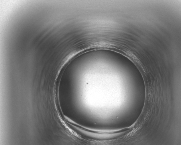 X0000059040989200510211929