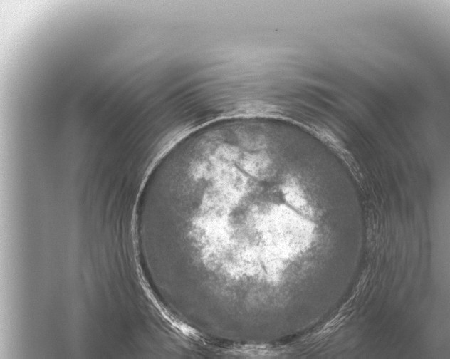 X0000059040990200510211929