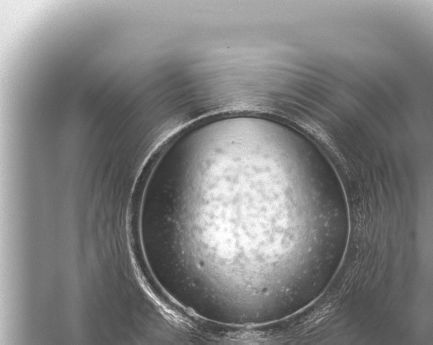 X0000059040991200510211929