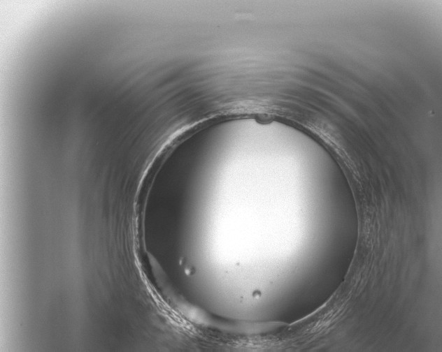 X0000059040992200510211929