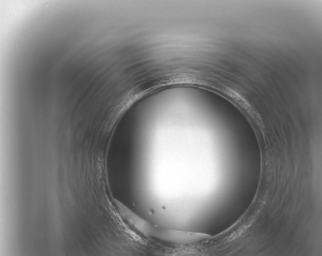 X0000059040993200510211929