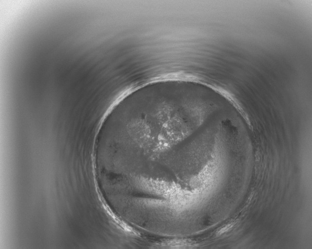 X0000059040998200510211929