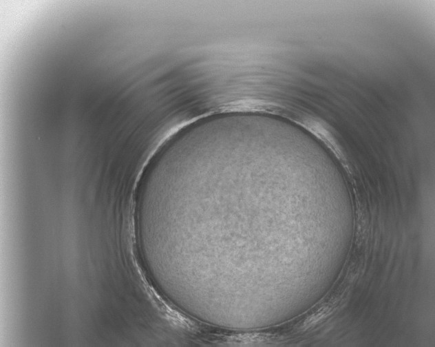 X0000059041000200510211929