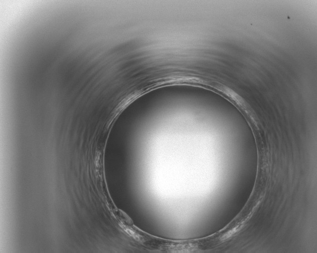 X0000059041001200510211929