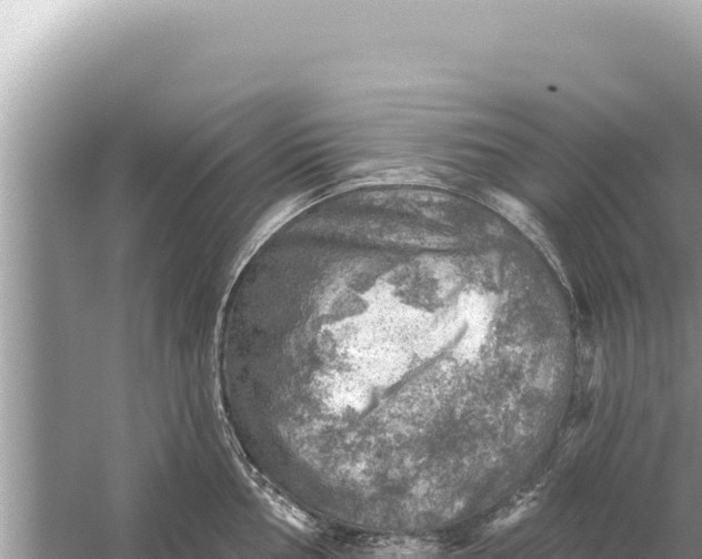 X0000059041002200510211929