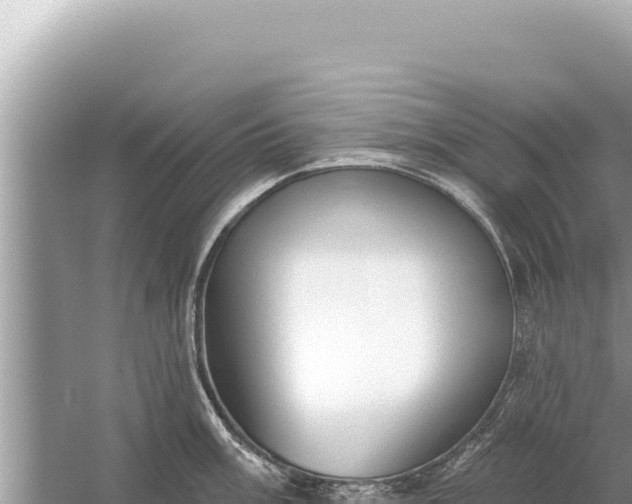 X0000059041003200510211929