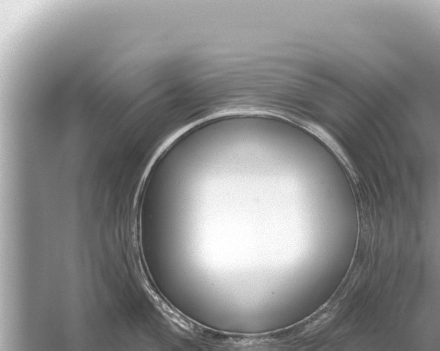 X0000059041004200510211929