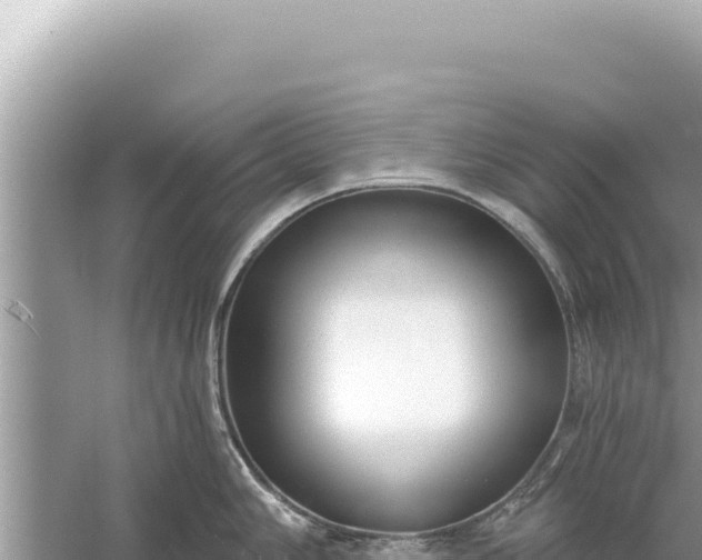 X0000059041006200510211929