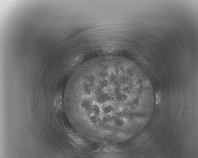 X0000059041011200510211928