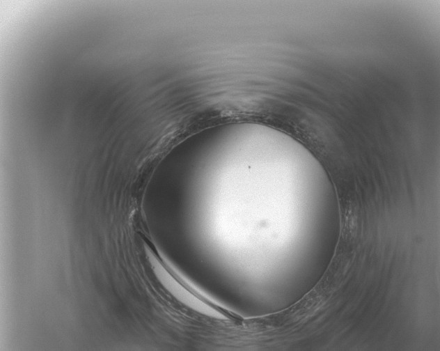 X0000059041012200510211928