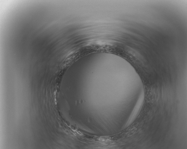 X0000059041013200510211928