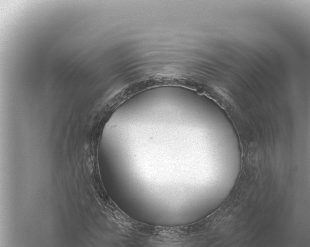 X0000059041015200510211928