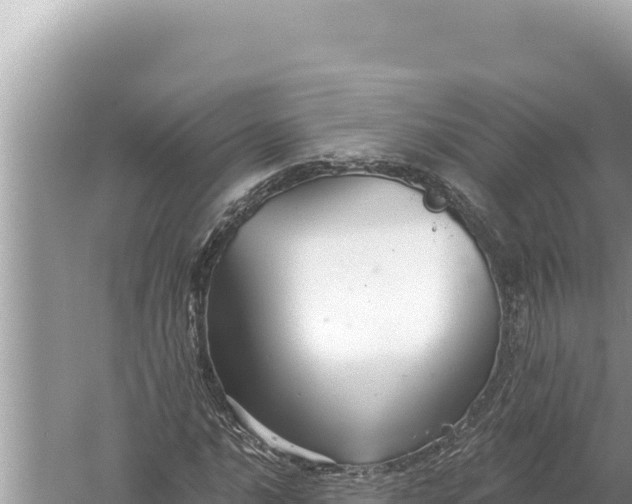 X0000059041016200510211928