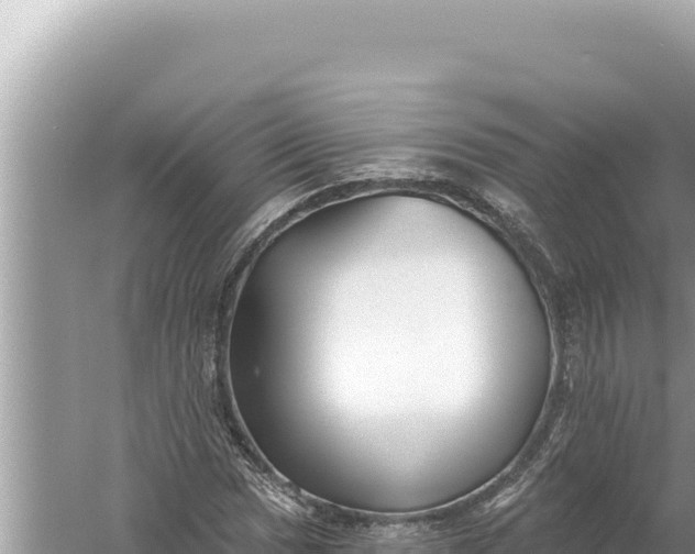 X0000059041017200510211928