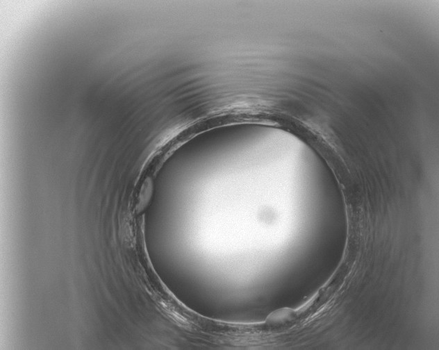 X0000059041018200510211928