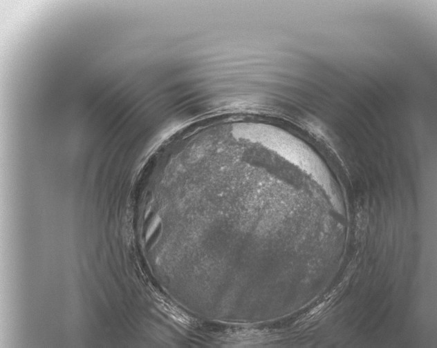 X0000059041019200510211928