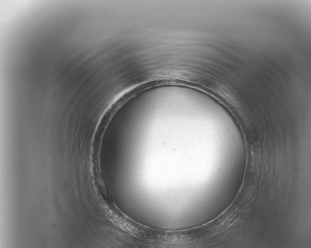 X0000059041020200510211928