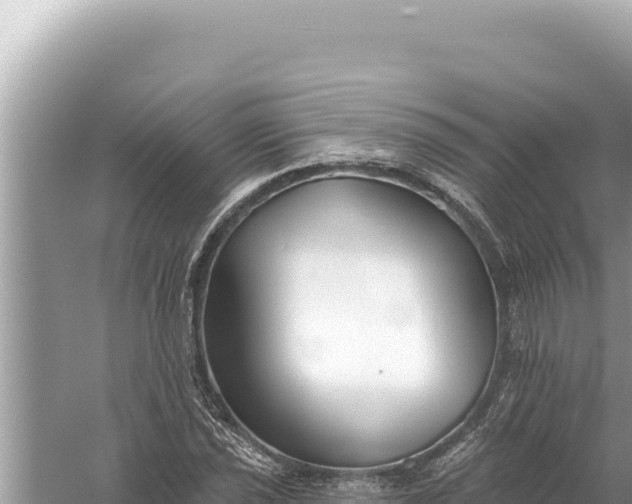 X0000059041021200510211928