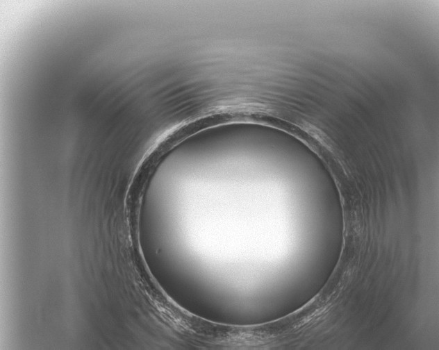 X0000059041022200510211928