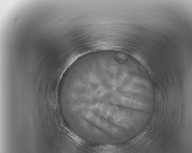 X0000059041023200510211928