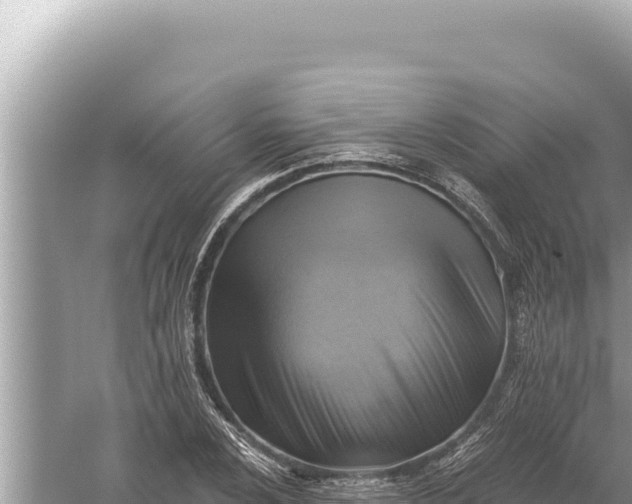 X0000059041024200510211928