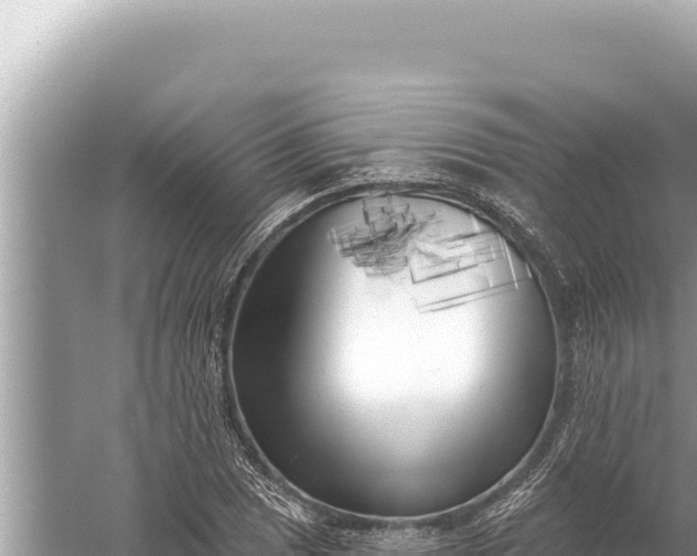 X0000059041025200510211928