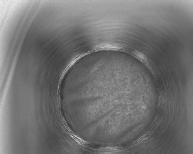 X0000059041027200510211928