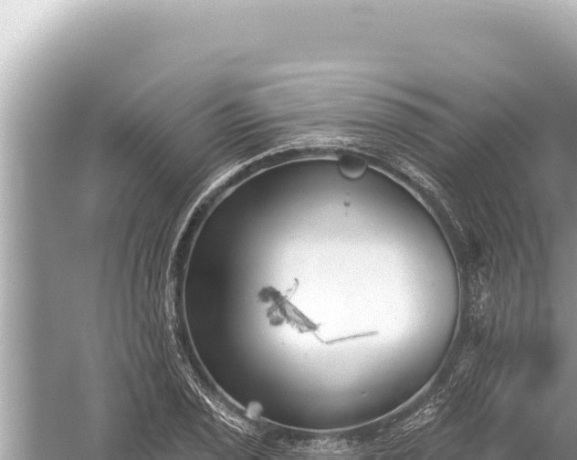 X0000059041029200510211928