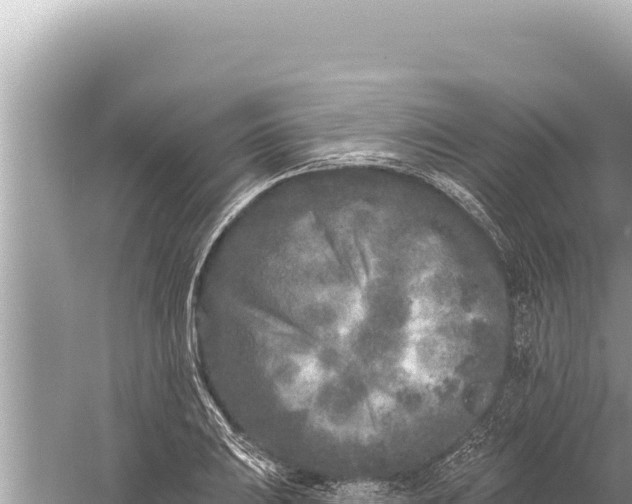 X0000059041031200510211928