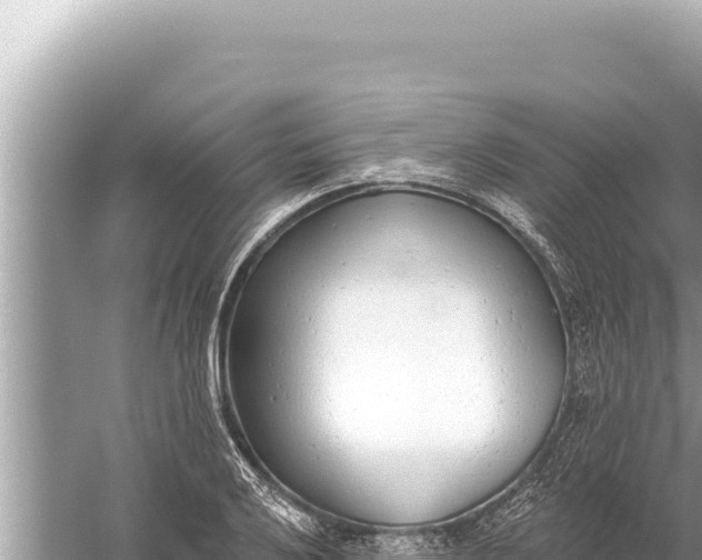 X0000059041032200510211928