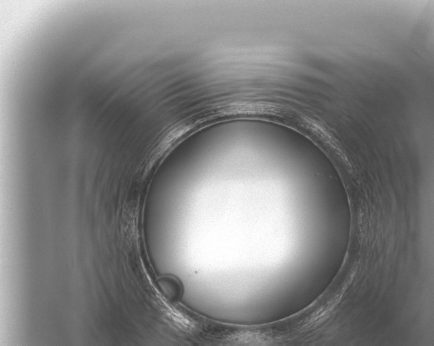 X0000059041033200510211928