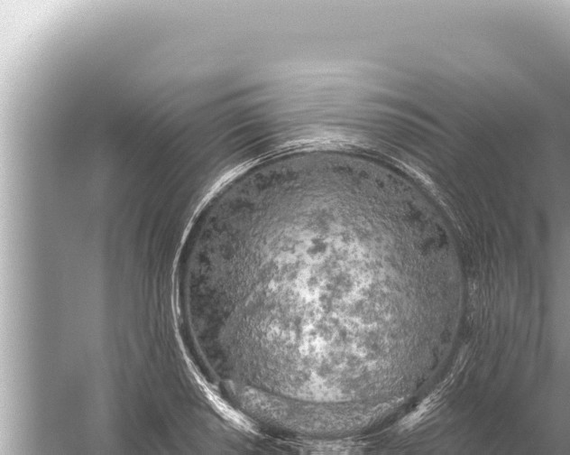 X0000059041034200510211928