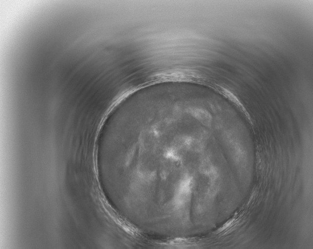 X0000059041035200510211928