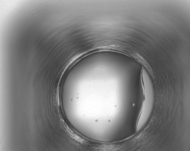 X0000059041036200510211928