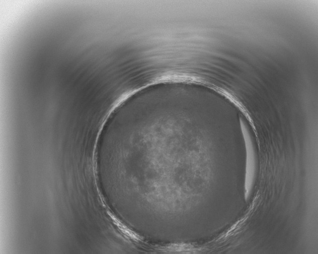 X0000059041037200510211928