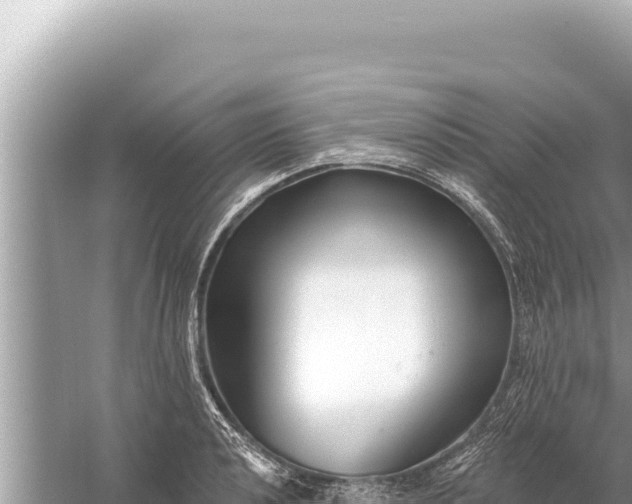 X0000059041040200510211929