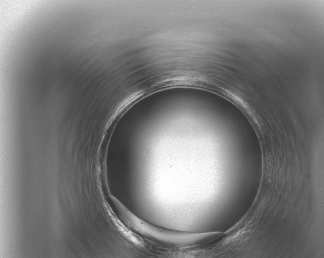 X0000059041042200510211929