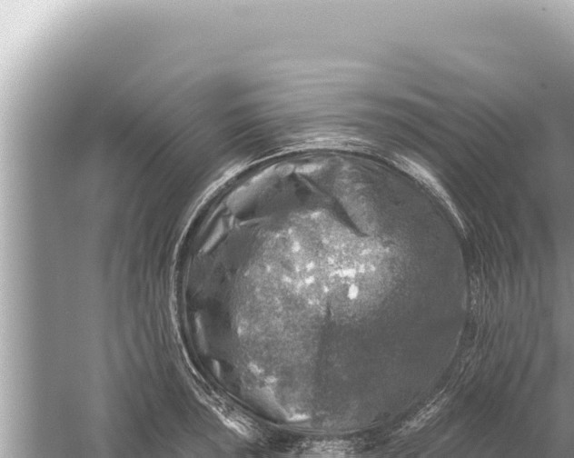 X0000059041043200510211929