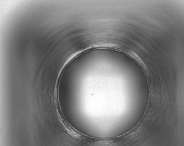 X0000059041044200510211929