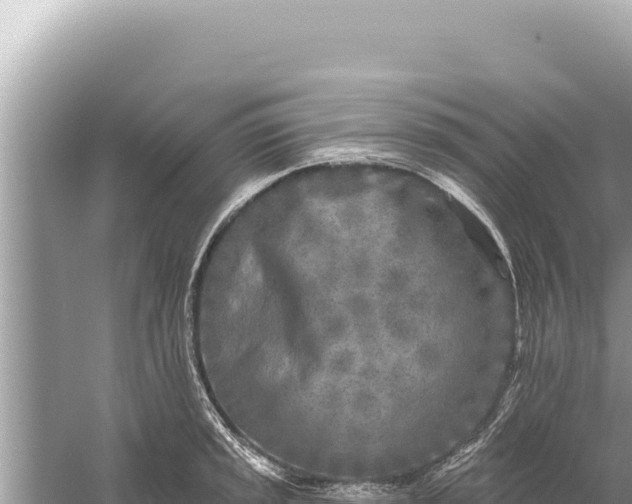 X0000059041045200510211929