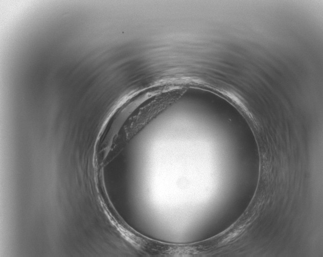 X0000059041046200510211929