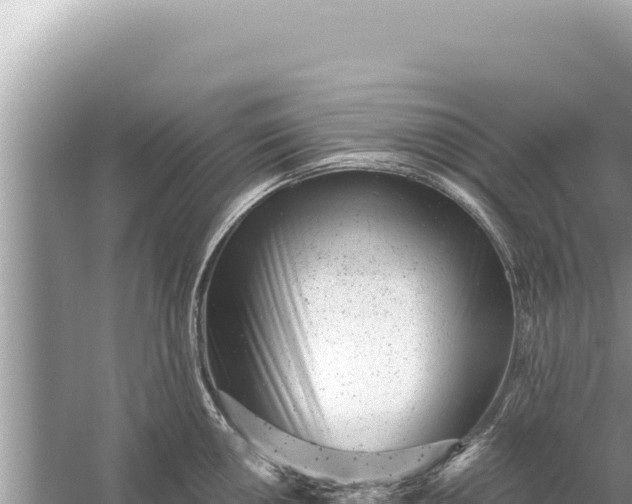 X0000059041050200510211929