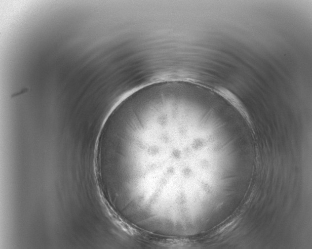 X0000059041052200510211929